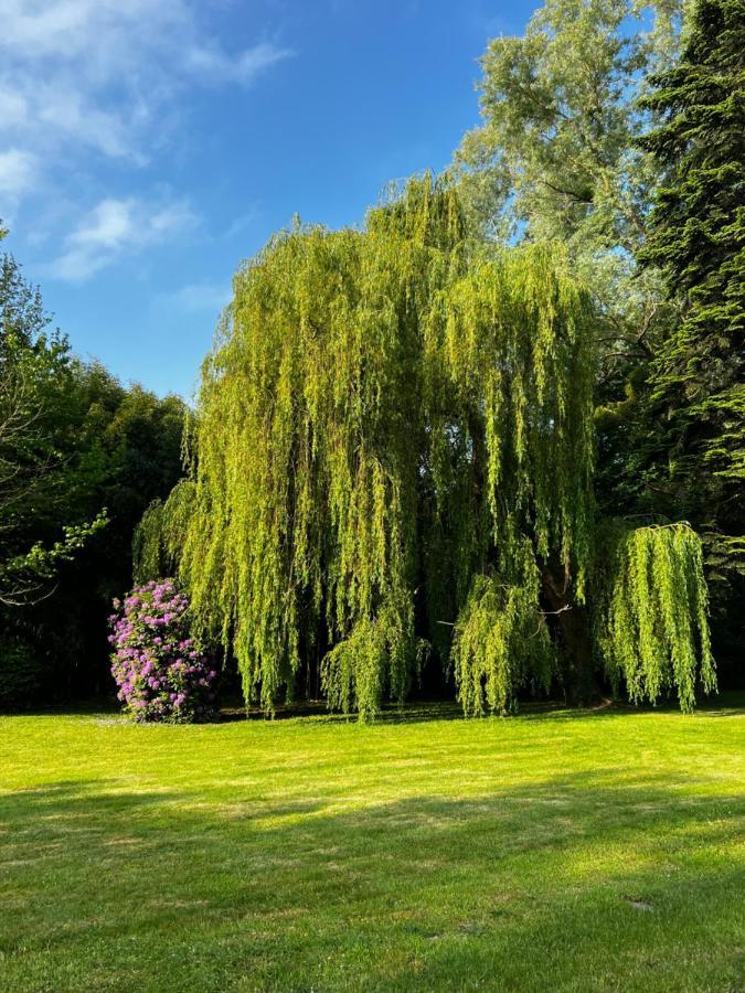Le Clos De Lily Coudray-Rabut Extérieur photo